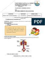 Ciencias 5