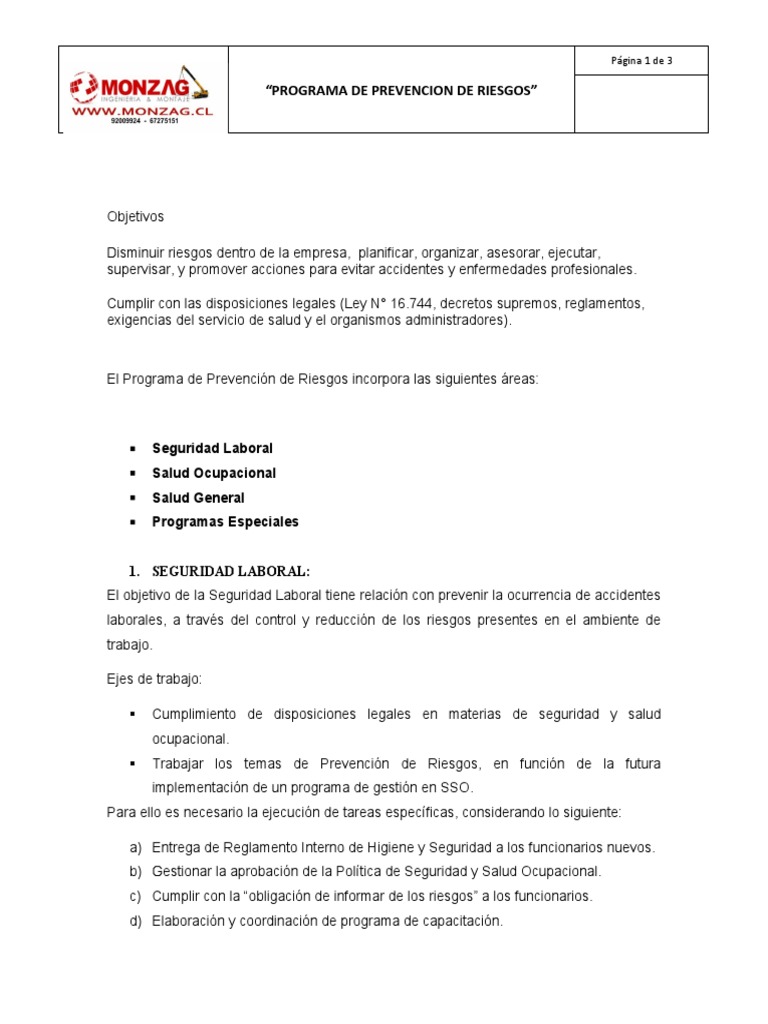 Programa de Prevención de Riesgos Laborales | PDF | Seguridad y salud ...