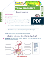 El Sistema Digestivo para Segundo Grado de Primaria