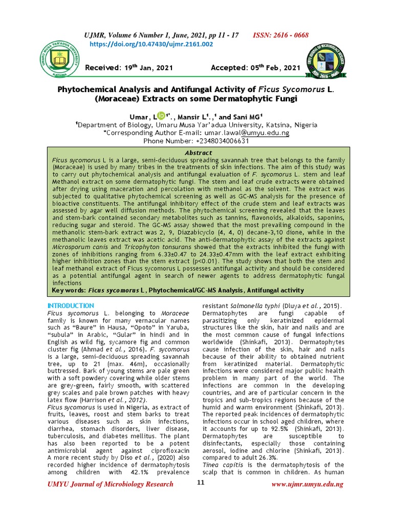 Antifungal Activity of Ficus Sycomorus Extracts | PDF | Ficus | Gas ...