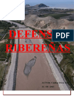 2do Trabajo de Defensas Ribereñas