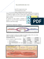 Transp Co2