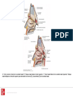 Figure (1)