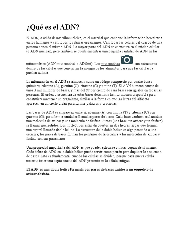 Qué es el ADN | PDF | Adn | Genética