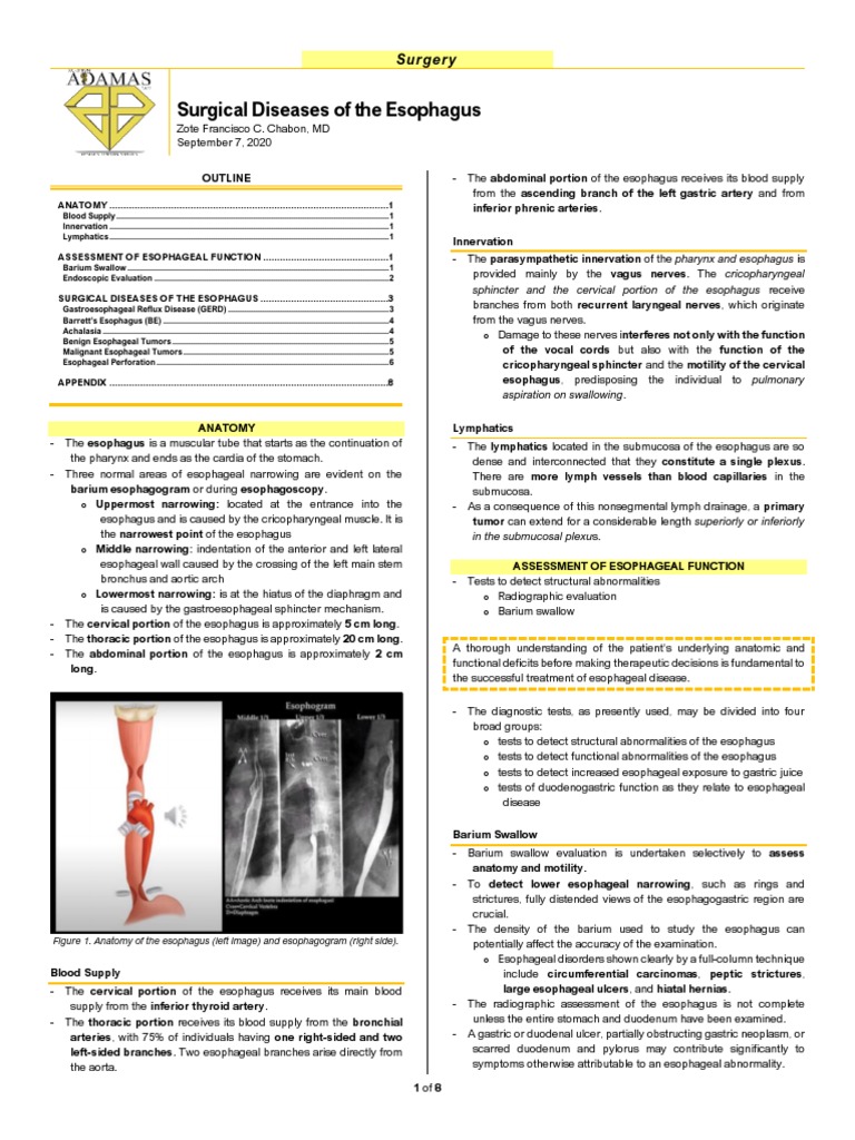 Esophageal Anatomy and Function Assessment | PDF | Esophagus ...