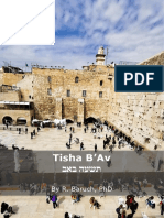 Tisha B'Av באב העשת: By R. Baruch, Phd