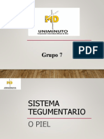 Sistema Tegumentario 2021