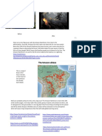 Amazon Rainforest Fires Destroying 20% of World's Oxygen Supply