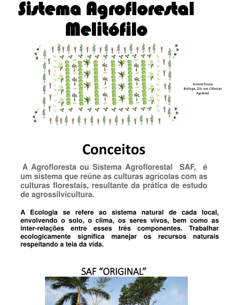 Sistema SAF