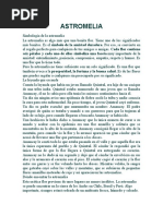 Dosis y uso de Trylori en H. pylori | PDF | Bioquímica | Química