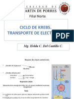 240802175-Chi-2014-Ciclo-de-Krebs-pptx