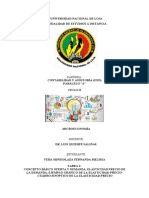 Tarea 1 Informe y Cuadro Sinoptico Elasticidad PDF