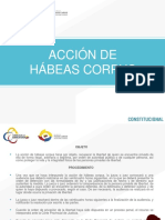 accion_de_habeas_corpus