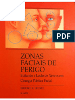 Zonas Faciais de Perigo