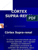 11 Hormonas do Córtex Supra-Renal