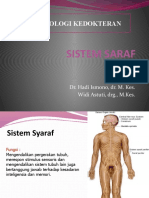 Sistem Saraf