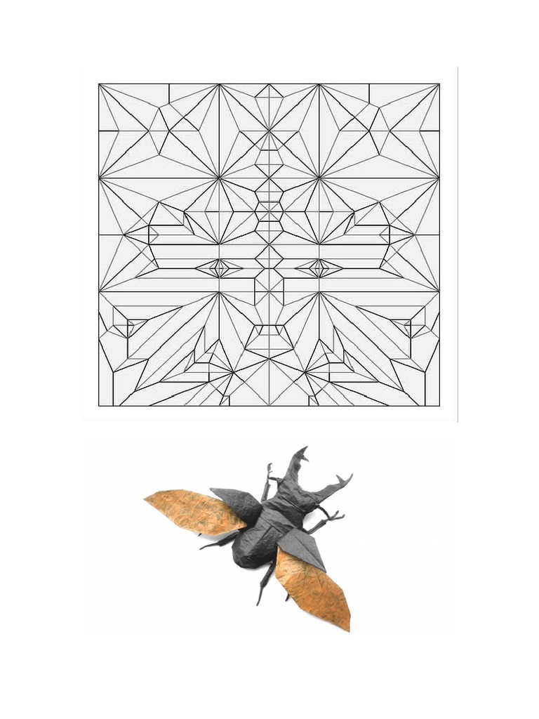 Origami Stag Beetle | PDF