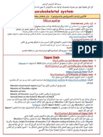 Musculoskeletal System: MB Upper Li