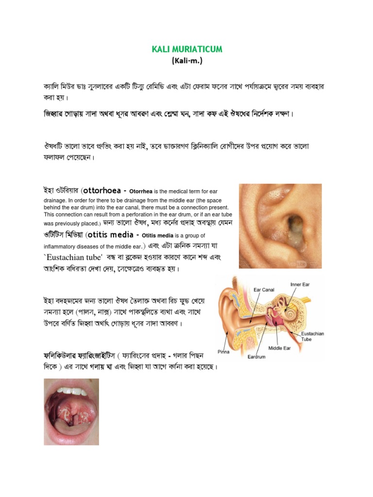 Kali-M | PDF