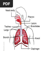 Mahat Resp System