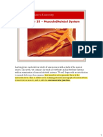 Lecture 12 - Chapter 35 - MusculoSkeletal System