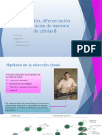 Activación, Diferenciación