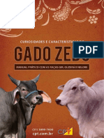 Curiosidades Gado Zebu