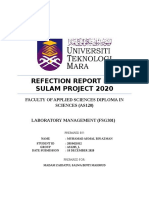 Reflection Report Sulam Project Muhamad Akmal Bin Azman