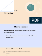 Homeostasis & Excretion