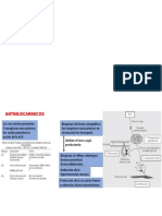 Antimuscarinicos - farmacologia