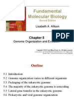 Fundamental Molecular Biology: Lisabeth A. Allison