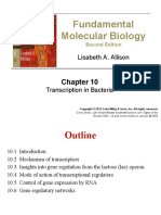 Fundamental Molecular Biology: Lisabeth A. Allison