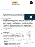 Sistema Nervoso Autônomo e suas Funções