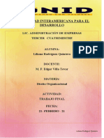 Diseño Organizacional Tarea 1