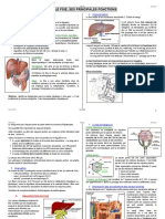 UE Gastro - Physio - Crenesse - Le Foie