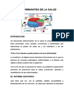 Determinantes de La Salud-1