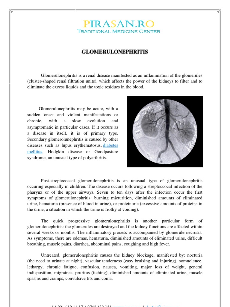 Glomerulonephritis | PDF | Kidney | Urinary Tract Infection
