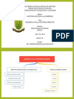 Desarrollo de La Auditoría Operativa