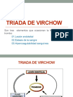 Triada de Virchow2