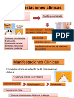 Ictericia Obstructiva