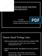 Anfis Sistem Persyarafan