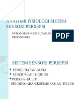 Anatomi Fisiologi Sistem Sensori Persepsi