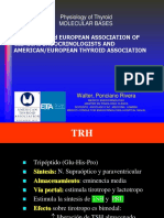 Fisiología de La Glándula Tiroides