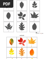 Free - Fall Leaf Shadow Matching