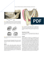 Structures of Teeth 1