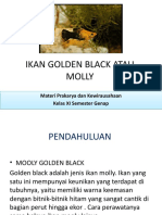 PKWU Budidaya Ikan Golden Black Atau Molly