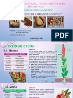 Tuberosas y Granos Andinos