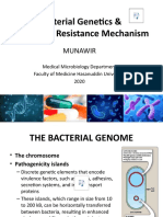 Bacterial Genetics and Antibiotic Resistance Mechanism