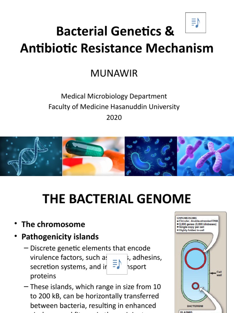 Bacterial Genetics and Antibiotic Resistance Mechanism | PDF | Plasmid ...
