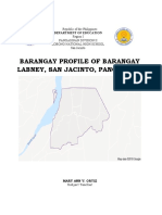 Community Profile Barangay Labney 1